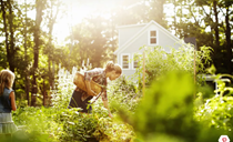 Chăm sóc ngoại thất hợp phong thủy giúp gia đình bình an suốt năm