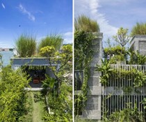 Tòa văn phòng được bao phủ bởi cây xanh tuyệt đẹp