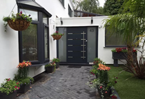 Cây cảnh phong thủy