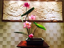 Ý nghĩa phong thuỷ của từng loại hoa